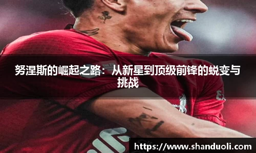 努涅斯的崛起之路：从新星到顶级前锋的蜕变与挑战